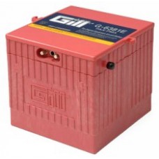 Gill G-6381E Battery With Acid Gill G-6381E Battery With Acid